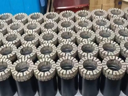 国际友人考察锡钻公司